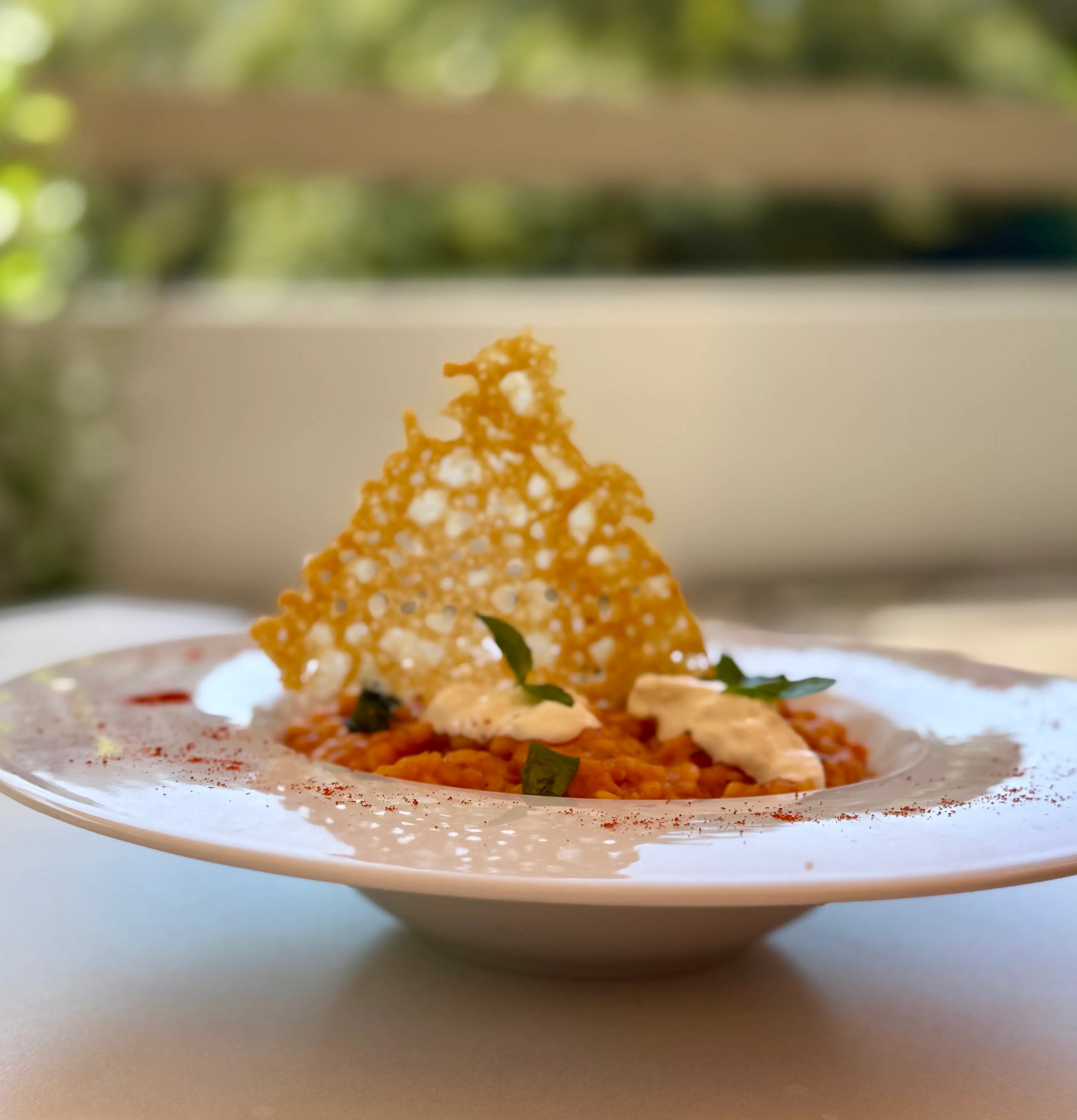 [background image] image of refreshed place setting (for a fine dining restaurant)